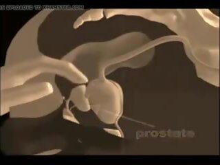 Kako da dati a prostata masaža, brezplačno xxx masaža x ocenjeno posnetek film