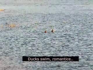 Romantic bukkake on the pantai of love with ducks: porno 01 | xhamster