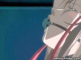 ミックス の 映画を バイ エロアニメ ニッチ